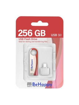 Clé usb 3.1 - 256 GB