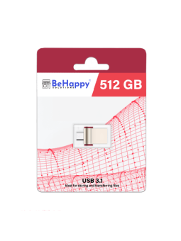 Clé usb / micro usb 3.1 -...