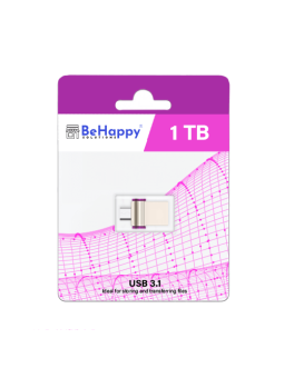 Clé usb / micro usb 3.1 - 1 TB